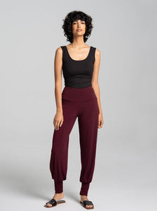 Aladdina Pants 